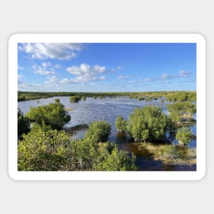 Florida Everglades Sticker